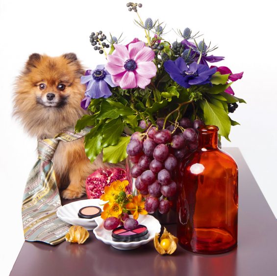 saskia-hammen-styling-mila